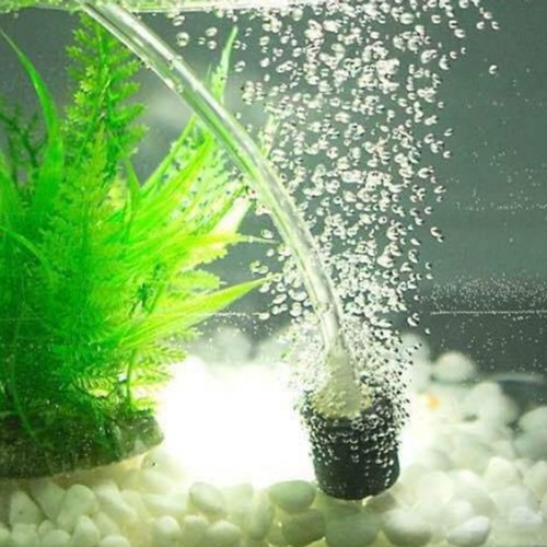 Pompe oxygène usb fishbowl - pompe,
