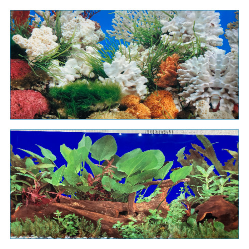 Poster fond aquarium - poster,