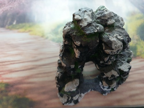 Décor aquarium pour eau douce